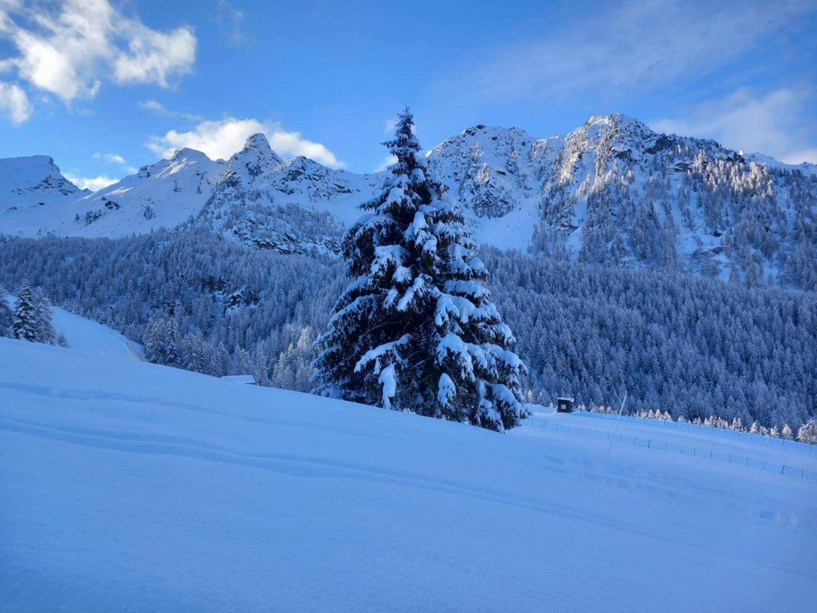 L' Aroula Rooms & Restaurant Champoluc Buitenkant foto